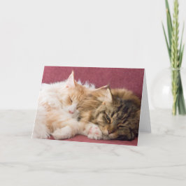 Tarjeta Festiva Maine Coon cats greeting card