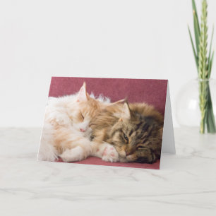Tarjeta Festiva Maine Coon cats greeting card