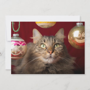 Tarjeta Festiva Maine Coon Navidades Cat