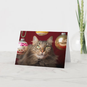 Tarjeta Festiva Maine Coon Navidades Cat