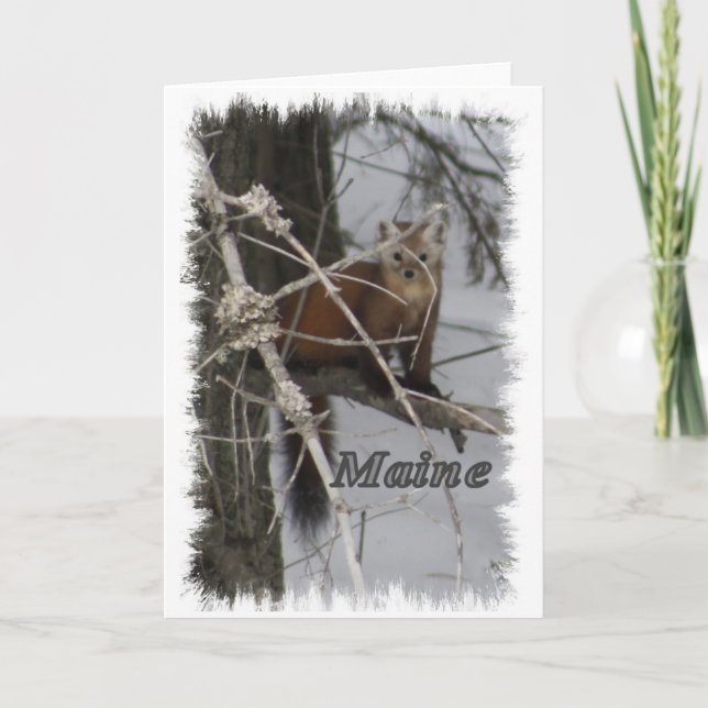 Tarjeta Festiva Maine Wildlife - Pine Marten (Anverso)