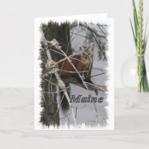 Tarjeta Festiva Maine Wildlife - Pine Marten