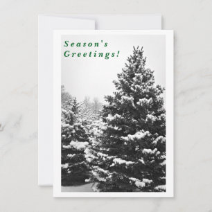 Tarjeta Festiva Majestuoso Invierno en Blanco y Negro, Personaliza