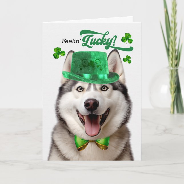 Tarjeta Festiva Malamute Dog Feelin's Lucky St Patrick's Day (Anverso)