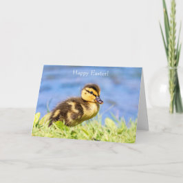 Tarjeta Festiva Mallard Duckling