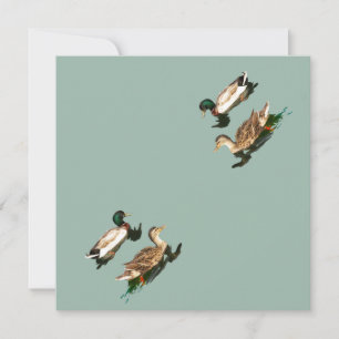 Tarjeta Festiva Mallas de los Ducks