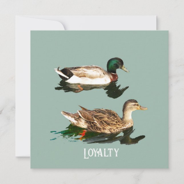 Tarjeta Festiva Mallas de los Ducks (Anverso)