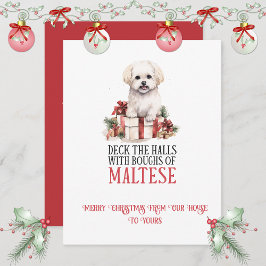 Tarjeta Festiva Maltese Whimsical Christmas |