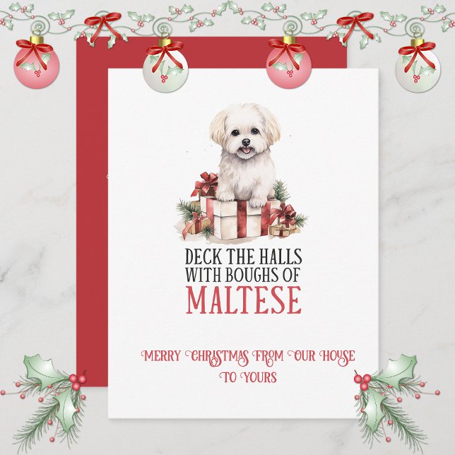 Tarjeta Festiva Maltese Whimsical Christmas | (Subido por el creador)