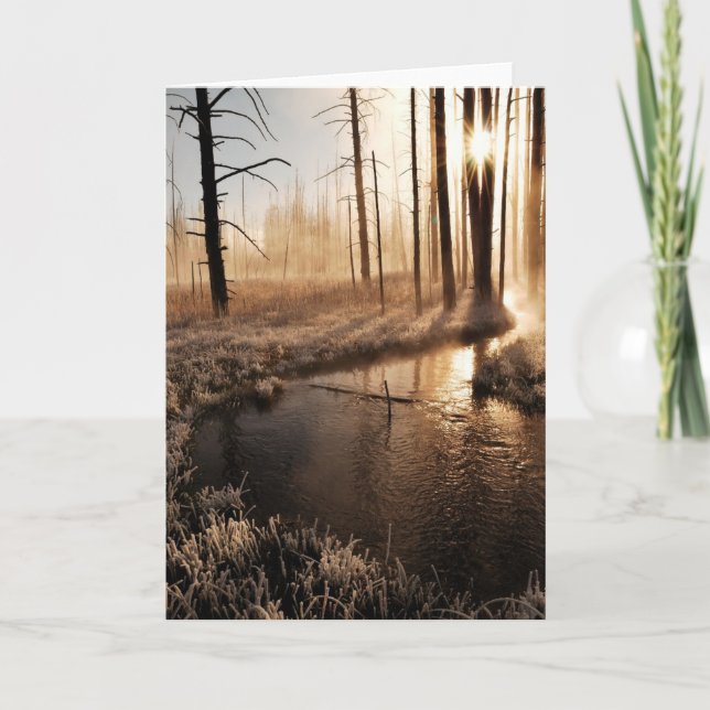 Tarjeta Festiva Mañana de Yellowstone helado (Anverso)