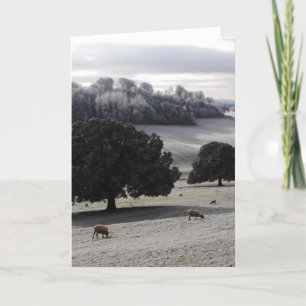 Tarjeta Festiva Mañana helada