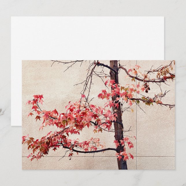 Tarjeta Festiva Maple (Anverso / Reverso)