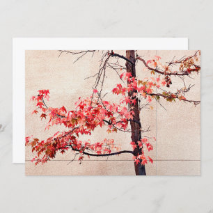 Tarjeta Festiva Maple