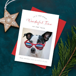 Tarjeta Festiva Maravilloso tiempo Funny Perro Navidades familiare