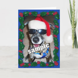 Tarjeta Festiva Marco de Acebo Azul para tu foto de Navidad!