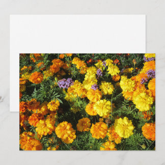 Tarjeta Festiva Marigolds