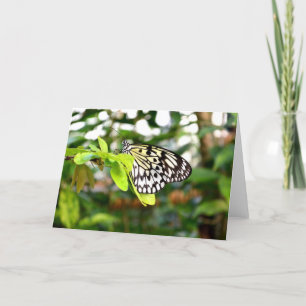 Tarjeta Festiva Mariposa cometa de papel