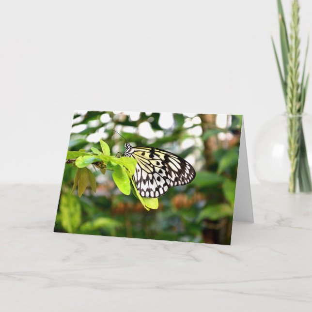 Tarjeta Festiva Mariposa cometa de papel (Anverso)