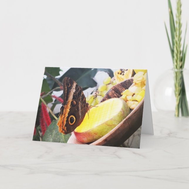 Tarjeta Festiva Mariposa de búho (Anverso)