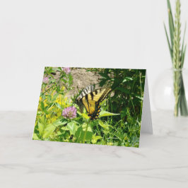 Tarjeta Festiva Mariposa de cola de cerda de tigre - Sobre el tréb