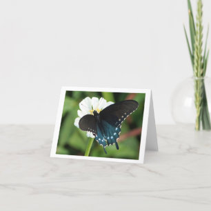 Tarjeta Festiva Mariposa del este de Swallowtail