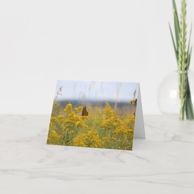 Tarjeta Festiva Mariposa monarca en un campo en Milkweed (Anverso)