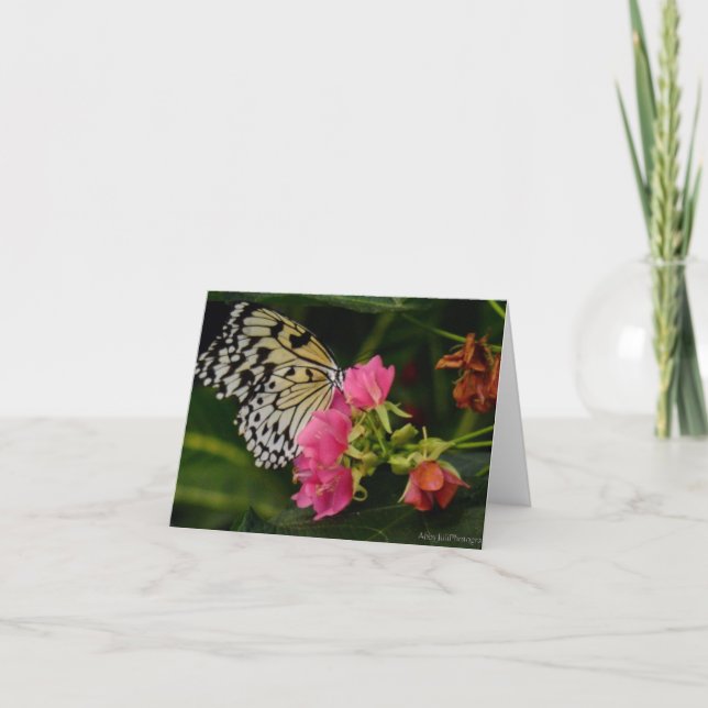 Tarjeta Festiva Mariposa única en flores tropicales rosadas (Anverso)