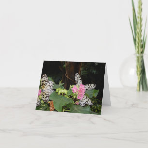 Tarjeta Festiva Mariposas amarillas en hojas tropicales