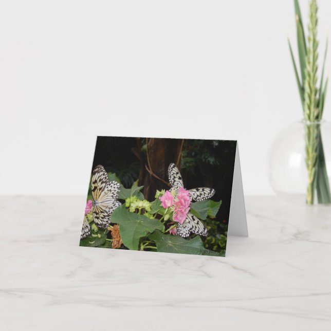 Tarjeta Festiva Mariposas amarillas en hojas tropicales (Anverso)