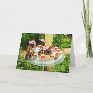 Tarjeta Festiva Mariposas de búho