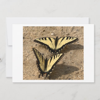Tarjeta Festiva Mariposas en la playa