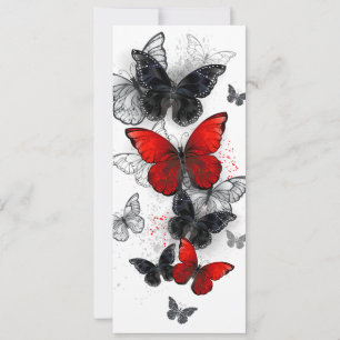 Tarjeta Festiva Mariposas Morpho voladoras negras y rojas