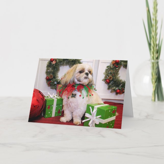 Tarjeta Festiva Marley - Shih Tzu - Robbins (Anverso)