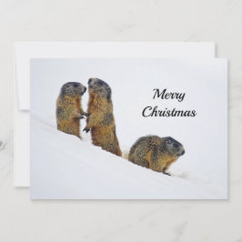 Tarjeta Festiva Marmots de vida silvestre y Navidades de foto de n