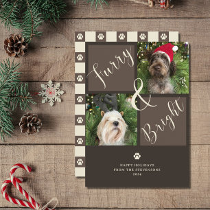 Tarjeta Festiva Marrón Luminoso Y Brillante 2 Perro Fotográfico