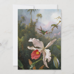 Tarjeta Festiva Martin Johnson Heade - Dos Hummingbirds