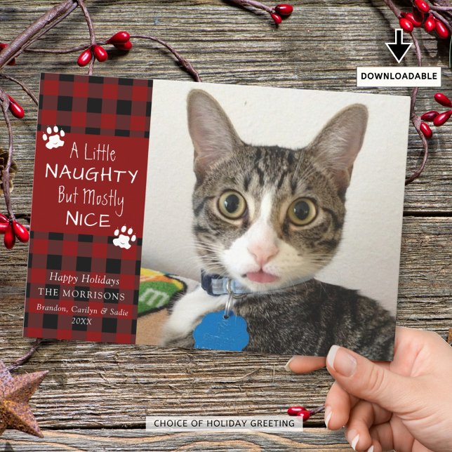 Tarjeta Festiva Mascota Cat Naughty Lindo Red Black Plaid (Subido por el creador)