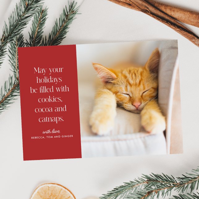 Tarjeta Festiva Mascota de Cocoa Catnaps (Subido por el creador)