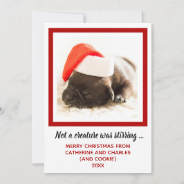 Tarjeta Festiva Mascota de fotografía de perro de cachorro