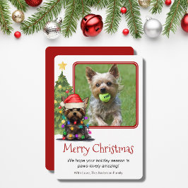 Tarjeta Festiva Mascota de Navidades Terrier de Yorkshire Dog One 