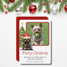 Mascota de Navidades Terrier de Yorkshire Dog One