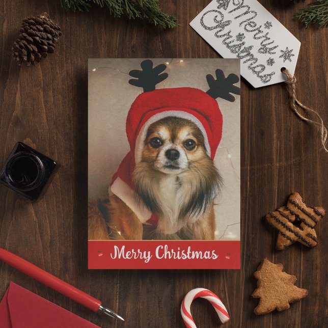 Tarjeta Festiva Mascota de pelo largo de Chihuahua  graciosa Navid (Front)
