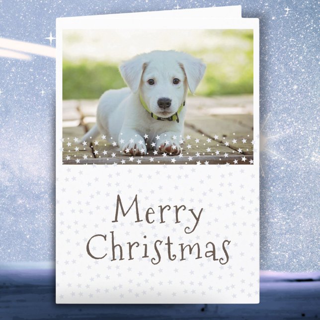 Tarjeta Festiva Mascota de perro: Estrellas fotográficas Feliz Nav (Subido por el creador)