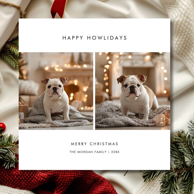 Tarjeta Festiva Mascota divertida - Fotos de Navidades de perro Fe (Subido por el creador)