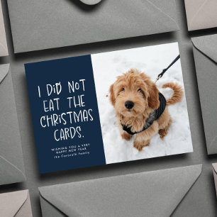 Tarjeta Festiva Mascota divertida, marina fotográfica, Año Nuevo