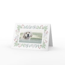 Mascota Dog Holiday Card Green Foliage Berries Des
