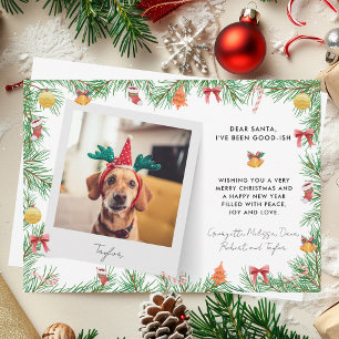 Tarjeta Festiva Mascota festivo gracioso Personalizado de foto per