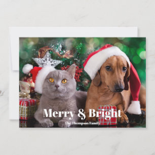 Tarjeta Festiva Mascota fotográfico Merry y Bright