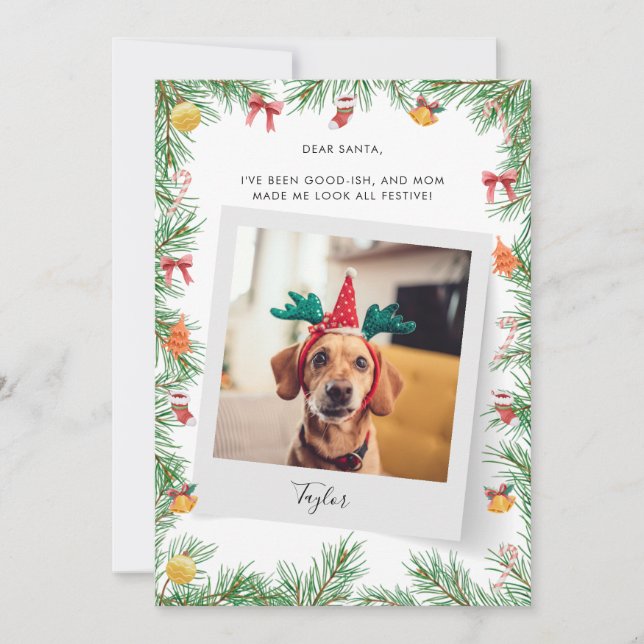 Tarjeta Festiva Mascota Perro foto traviesa o buenos Navidades Per (Anverso)