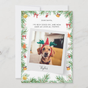 Tarjeta Festiva Mascota Perro foto traviesa o buenos Navidades Per